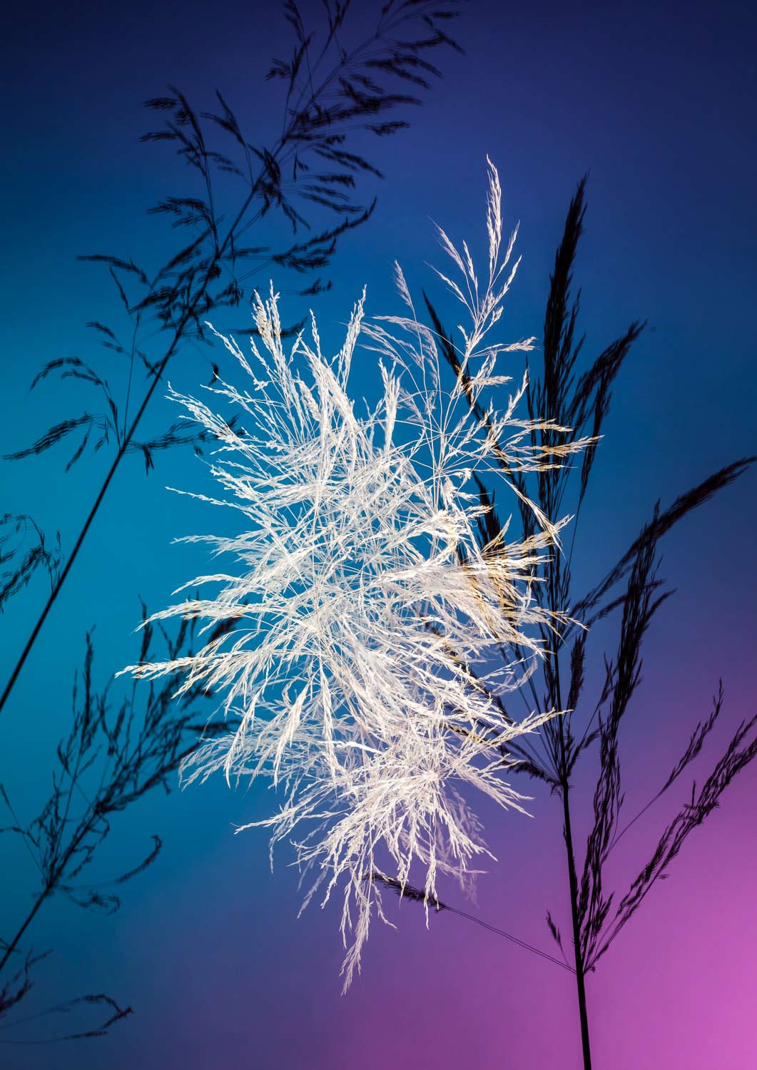 <span style="text-transform: uppercase;">Erhebung</span> <br> <span style="color: white; background-color: black; text-transform: uppercase;">Angelika M. Sitzwohl</span>